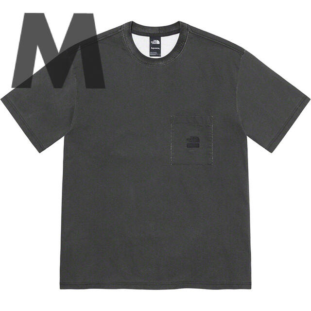 【新品】ノースフェイス Pigment Printed Pocket Tee M