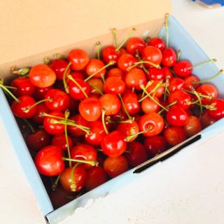 【山梨県産】期間限定＊ 佐藤錦 500g ＊ 贈与にも♪(フルーツ)