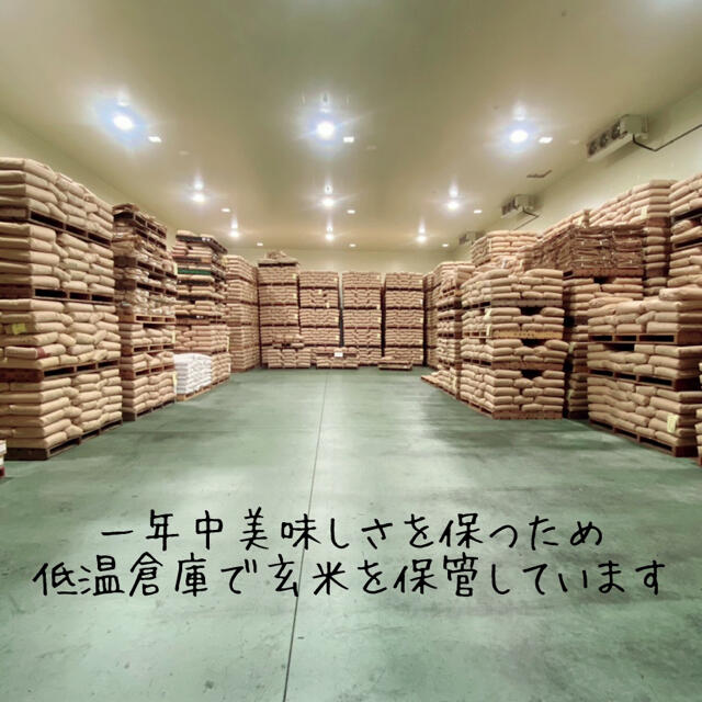 【数量限定販売&プレゼント付き】令和2年産 コスパ米 生活応援米 24kg お米 食品/飲料/酒の食品(米/穀物)の商品写真