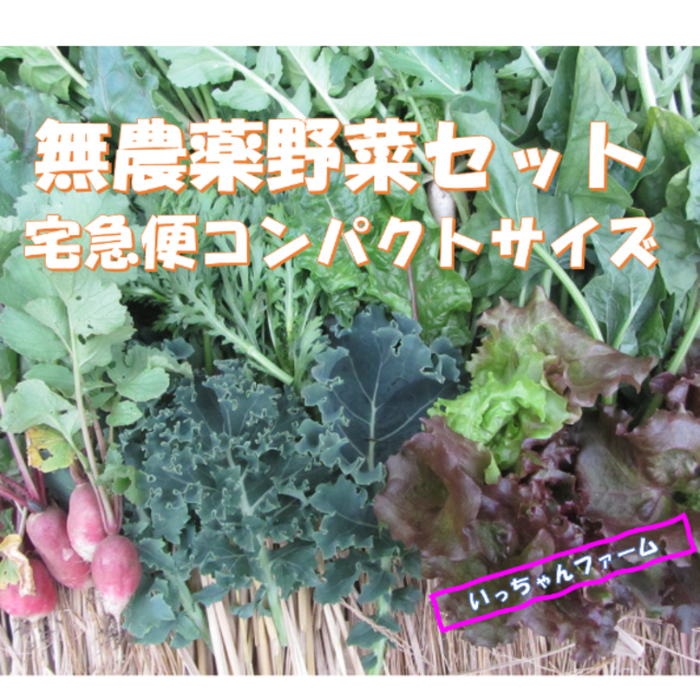 sawa様専用　ケール詰め合わせ 食品/飲料/酒の食品(野菜)の商品写真