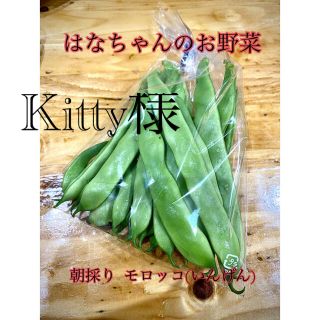 はなちゃんの無農薬野菜 モロッコ(いんげん豆)150ｇ(野菜)