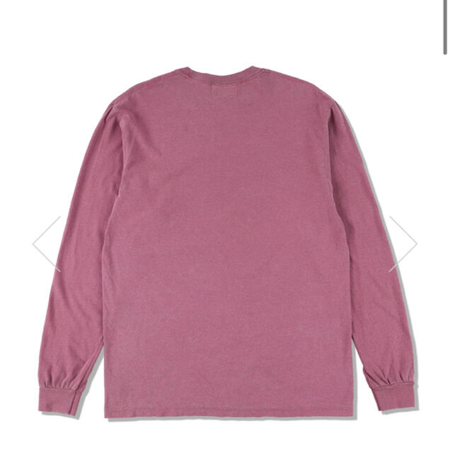 SEA(シー)のS_E_A (S-DYE) L/S T-SHIRT / BERRY-IVORY メンズのトップス(Tシャツ/カットソー(七分/長袖))の商品写真