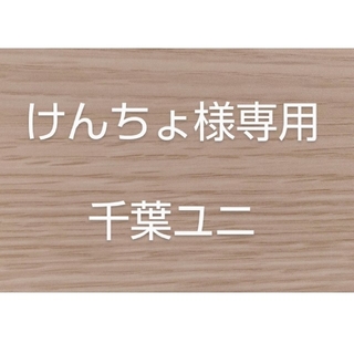 けんちょ様専用　千葉ユニホーム2020(応援グッズ)