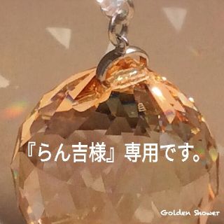 ✨『らん吉様』専用です✨(インテリア雑貨)