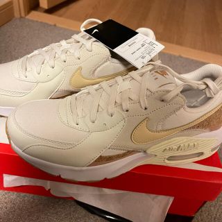 NIKE AIR MAX DJ1975-001 ナイキ エクシー コルク