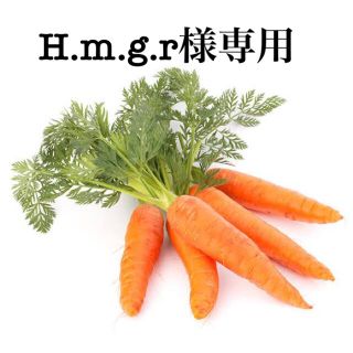 H.m.g.r様専用(その他)