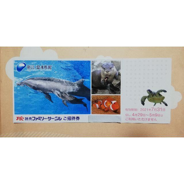 新江ノ島水族館  チケット ご招待券 1枚 チケットの施設利用券(水族館)の商品写真