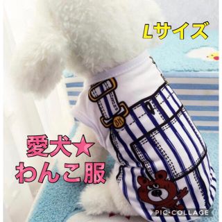 愛犬 わんこ 犬用 プリント Tシャツ 洋服 ストライプ ブルー  Lサイズ (犬)