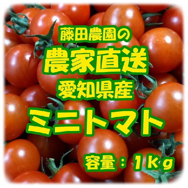 愛知県産　ミニトマト　良品　1kg 食品/飲料/酒の食品(野菜)の商品写真