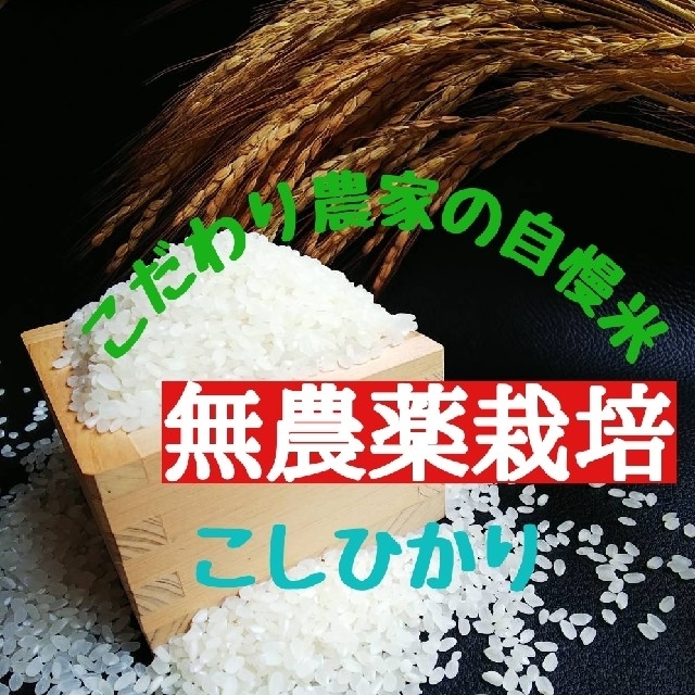 こだわり農家の自慢米  白米5㎏(無農薬栽培) 食品/飲料/酒の食品(米/穀物)の商品写真