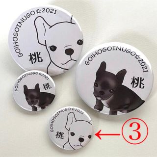 【保護犬GO】新入荷しました③白桃　小　応援缶バッジ(その他)