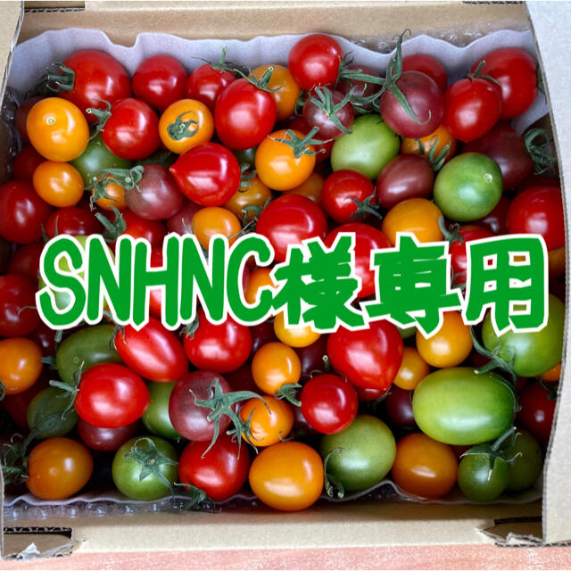 SNHNC様専用です 食品/飲料/酒の食品(野菜)の商品写真