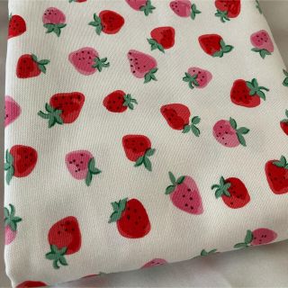 キャスキッドソン(Cath Kidston)のキャスキッドソン　生地　布　帆布　ホワイト×ストロベリー　いちご（延長可）(生地/糸)