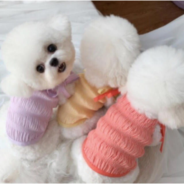 ギンガムチェック♡ショルダーリボンキャミソール♡犬服 ハンドメイドのペット(ペット服/アクセサリー)の商品写真