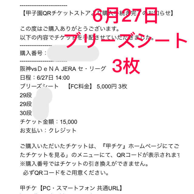 スポーツ阪神タイガース 甲子園 チケット ブリーズシート3枚 6月27日(日)