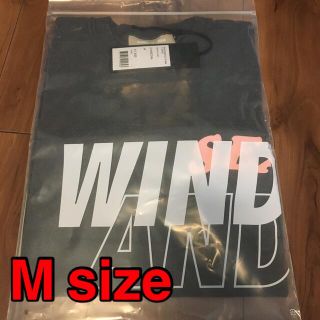 シー(SEA)の【新品未開封品】W&S S-Dye T shirt チャコール　Mサイズ(Tシャツ(半袖/袖なし))