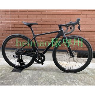 Canyon Endurace CF SLX Disc 9.0 SL(自転車本体)