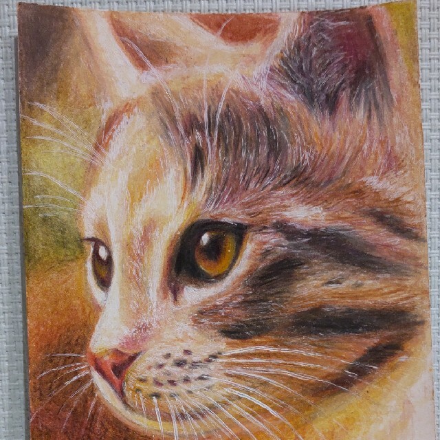 色鉛筆画 猫 エンタメ/ホビーの美術品/アンティーク(絵画/タペストリー)の商品写真