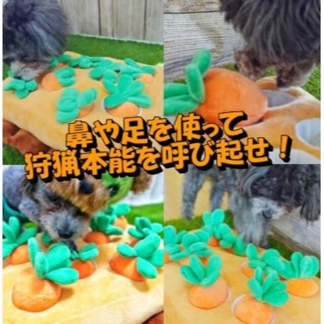 ノーズワーク にんじん ペット おもちゃ 犬 知育玩具 ぬいぐるみ 人参 その他のペット用品(犬)の商品写真