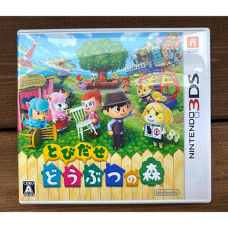 ニンテンドー3DS(ニンテンドー3DS)のとびだせ どうぶつの森 3DS(その他)