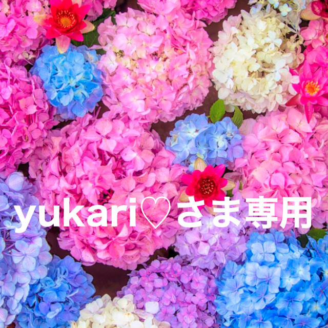 Yukari♡さま専用ページ 定番 14210円引き gredevel.fr-メルカリは誰