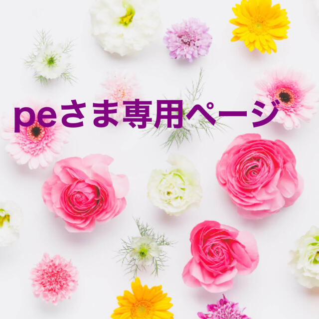 peさま専用ページ - その他