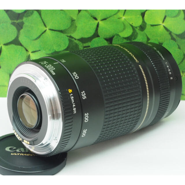 【美品】キャノンEF75-300mm超望遠ズーム⭐️スポーツ、イベントで大活躍