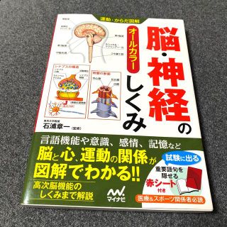 脳・神経のしくみ オ－ルカラ－(健康/医学)