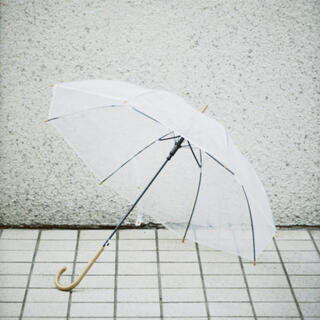[限定品] todayful ノベルティ　傘