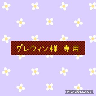 ブイシックス(V6)の専用(ポップス/ロック(邦楽))