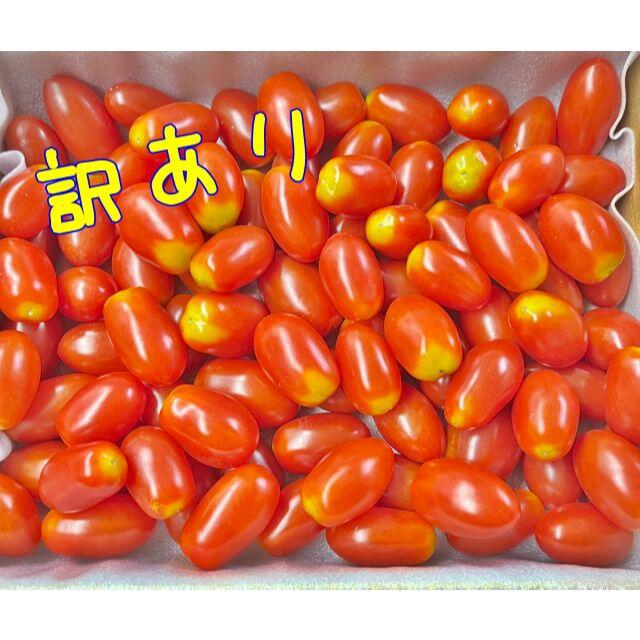 訳あり　フルーツトマト　ミニトマト　1キロ　コンパクト便 食品/飲料/酒の食品(野菜)の商品写真