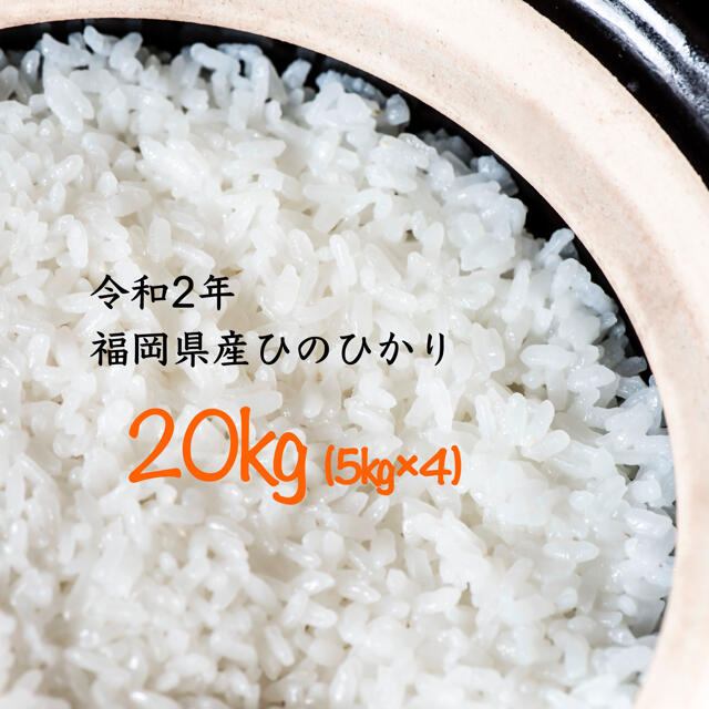 福岡県産品種プレゼント付き 令和2年 福岡県産 ひのひかり20kg  白米 新米 減農薬米