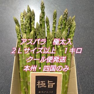 栃木県産グリーンアスパラガス２Ｌサイズ以上　極太サイズ含む１ｋｇ入り(野菜)