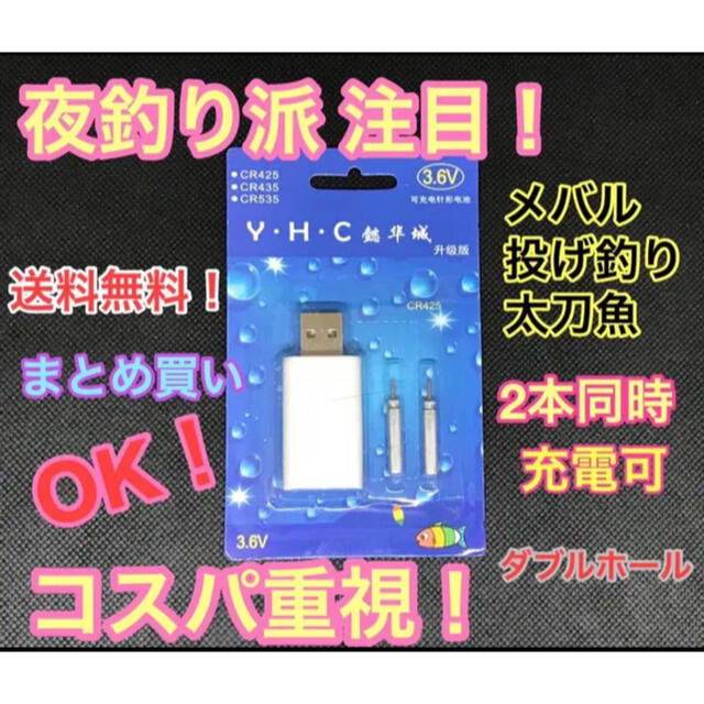 電気ウキ電池 USB充電機1個 夜釣り派注目 スポーツ/アウトドアのフィッシング(その他)の商品写真