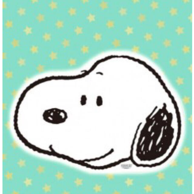 Snoopy スヌーピー レジャーシート 顔型の通販 By Nami まま S Shop スヌーピーならラクマ Snoopy スヌーピー レジャーシート 顔型の通販 By Nami まま S Shop スヌーピーならラクマ