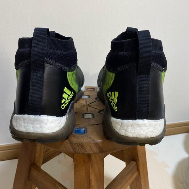 adidas(アディダス)のアディダス ゴルフシューズ コードカオス ボア 25.5cm スポーツ/アウトドアのゴルフ(シューズ)の商品写真