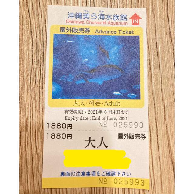 美ら海水族館 チケット 大人1枚 チケットの施設利用券(水族館)の商品写真