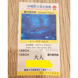 美ら海水族館 チケット 大人1枚(水族館)