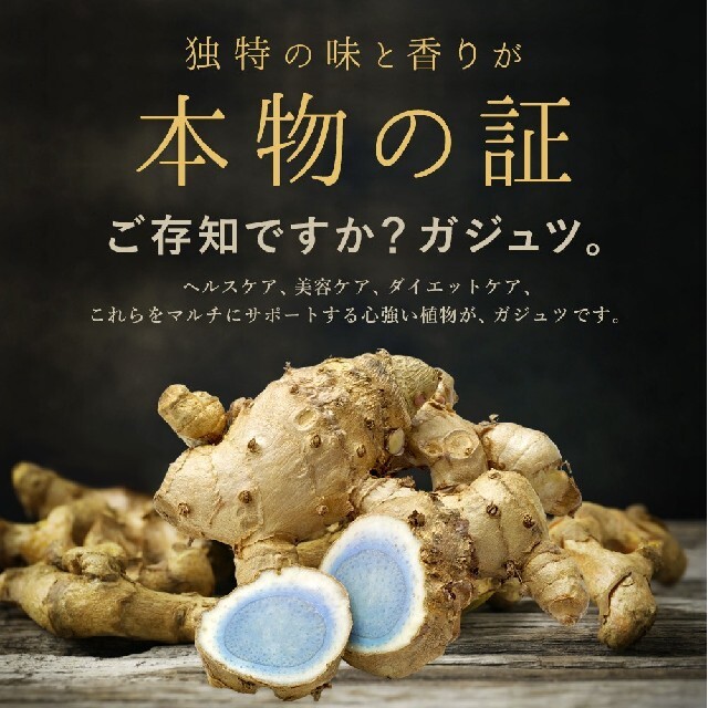 ガジュツ 紫ウコン 3ヶ月分 シードコムス 沖縄県産発酵ウコン 発酵大麦エキス 食品/飲料/酒の健康食品(その他)の商品写真