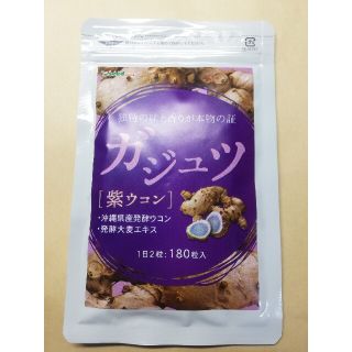 ガジュツ 紫ウコン 3ヶ月分 シードコムス 沖縄県産発酵ウコン 発酵大麦エキス(その他)