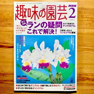 雑誌  【 NHK 趣味の園芸 ２月号/ ‘05年 】　ラン特集　第383号(専門誌)