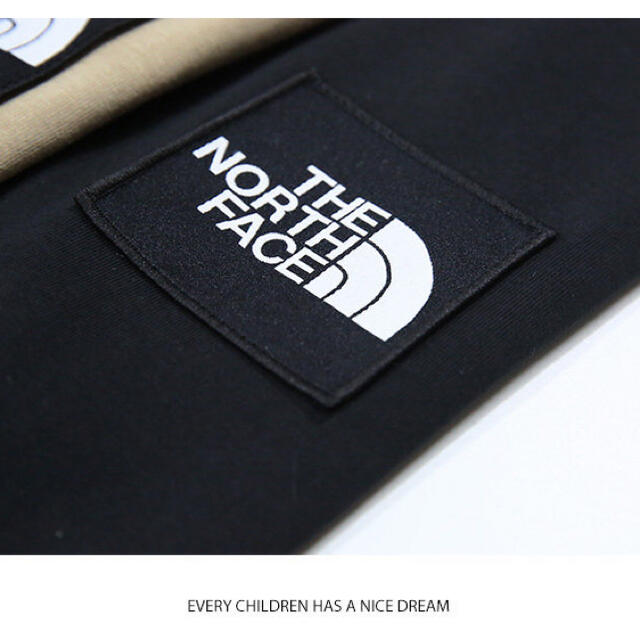 THE NORTH FACE(ザノースフェイス)の專用 メンズのトップス(Tシャツ/カットソー(半袖/袖なし))の商品写真