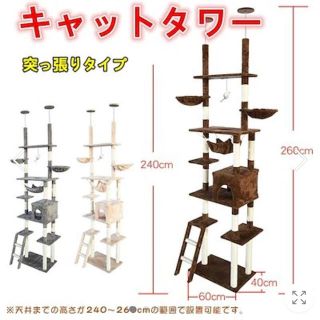 キャットタワー 突っ張り型 おしゃれ スリム 安定感 260cm つっぱり 大型(猫)