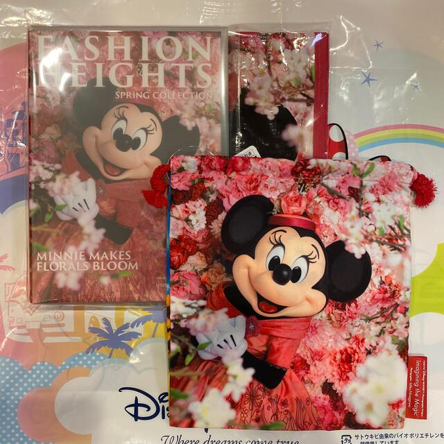 Disney Imaging the Magic 巾着&写真集セット