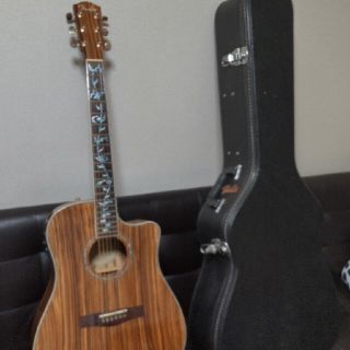 フェンダー(Fender)のフェンダーエレアコ、ゼブラノ(アコースティックギター)
