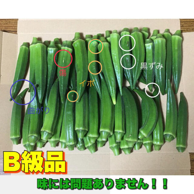 訳あり 宮古島産 オクラ 50本 食品/飲料/酒の食品(野菜)の商品写真