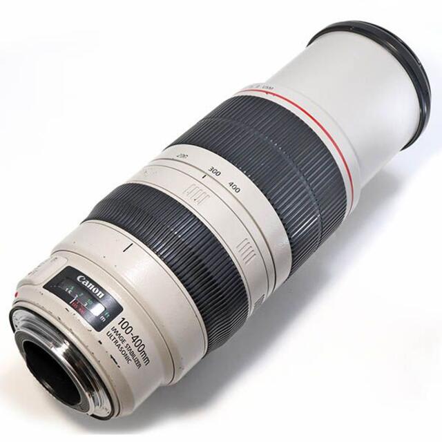 Canon EF100-400mm F4.5-5.6L IS II USM 作例