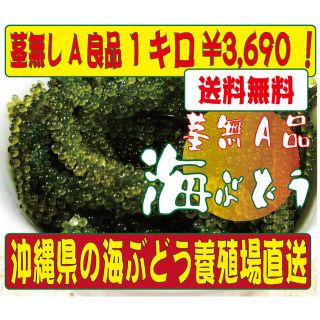 沖縄直送 海ぶどう 1キロ　茎無し　A良品　送料無料！(野菜)