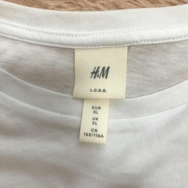 H&M(エイチアンドエム)のH&M エンブロイダリーカットソー XL XXL レディースのトップス(カットソー(半袖/袖なし))の商品写真