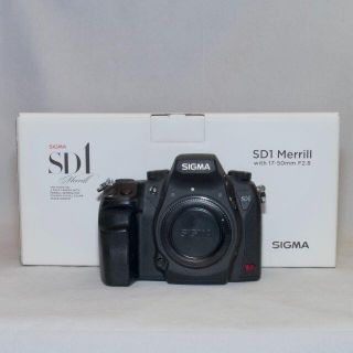 シグマ(SIGMA)のSIGMA SD1 Merrill + EF-530 DG SUPER(デジタル一眼)